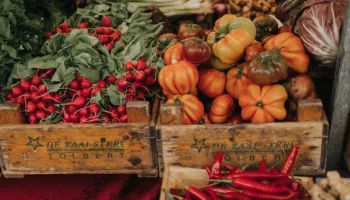Primeur Haut de Gamme - Entreprise familiale depuis 3 générations  🥬