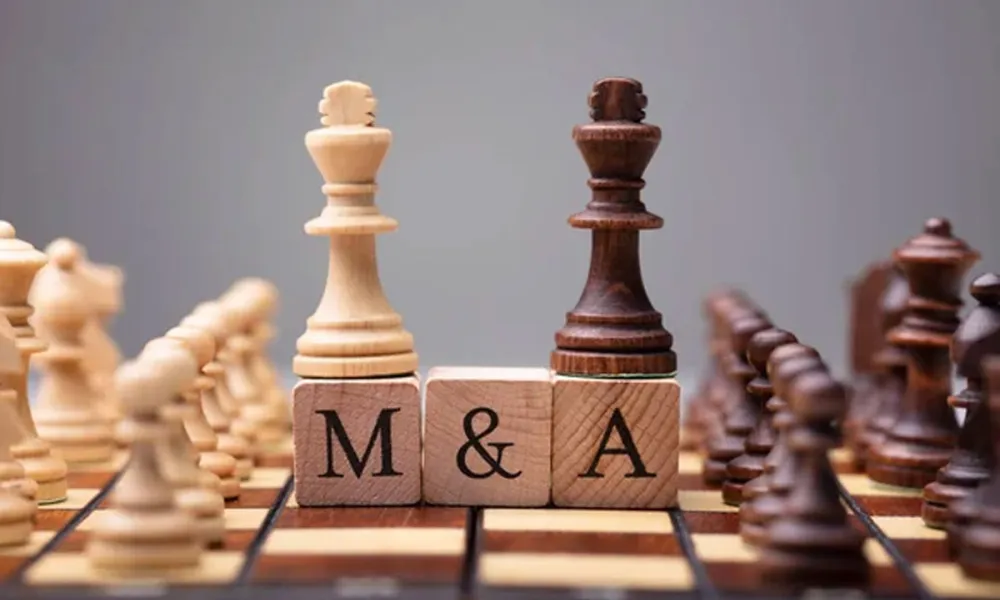 Cession de 30% des parts d'un cabinet de conseil en M&A | Recherche Directeur-Associé